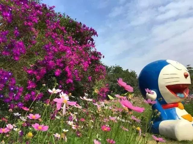 广州从化赛马会,广州从化站赛马会