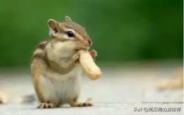 恒大金碧天下清远别墅团购,清远恒大金碧天下度假别墅出售