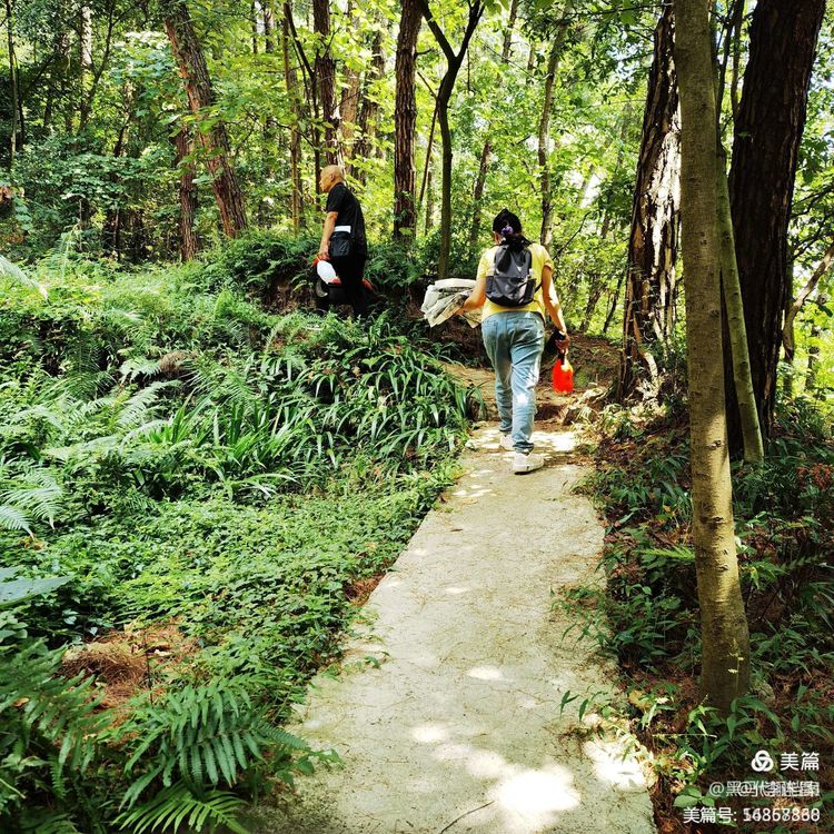 我们的足迹之121：凤凰山、高岩山拓碑，获碑拓19张。华表对联1副