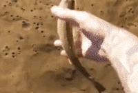 搞笑视频,搞笑动图gif高清