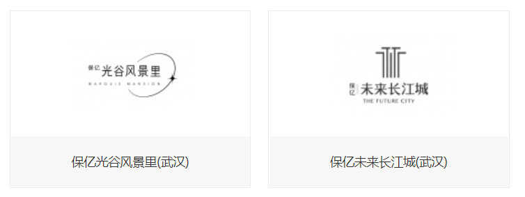 杭州保亿集团最新状况,保亿集团是商业地产么