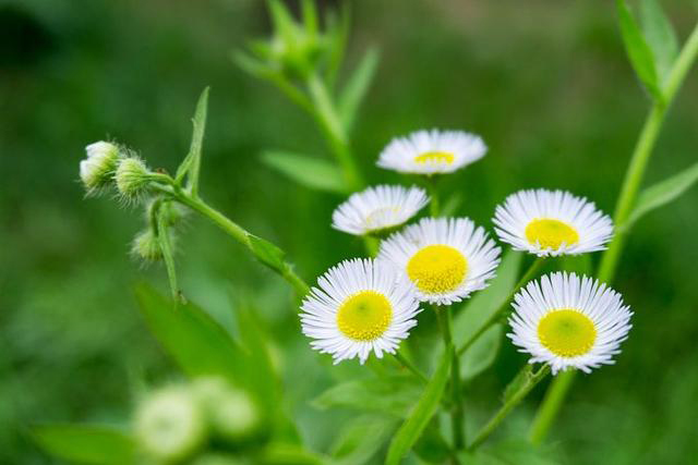 开封自驾日照途中好玩的地方 (开封附近一日游自驾游推荐)