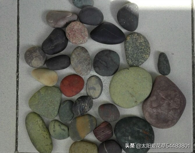 养花在花盆底下垫什么东西最好,养花盆用什么垫底好