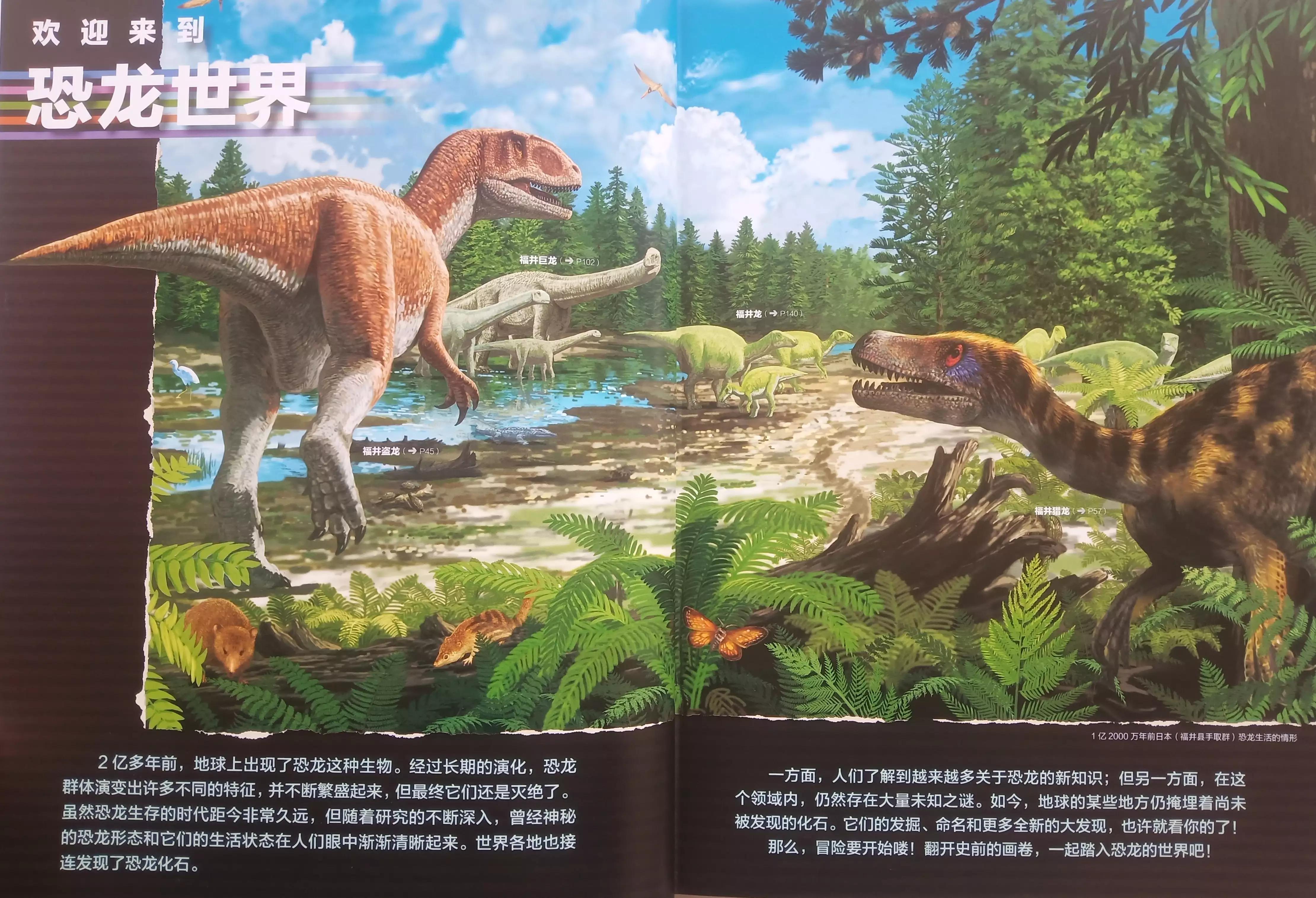 恐龙百科知识儿童版6岁,适合8到9岁男孩看的恐龙百科全书