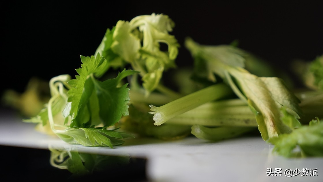 冰箱选择哪个品牌的好用耐用,怎样选择一台好的家用冰箱