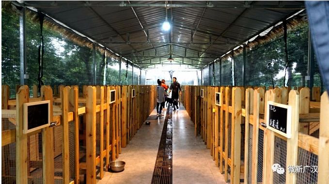 游记|来和兴吧！这里的美景美食每一样都超skr~