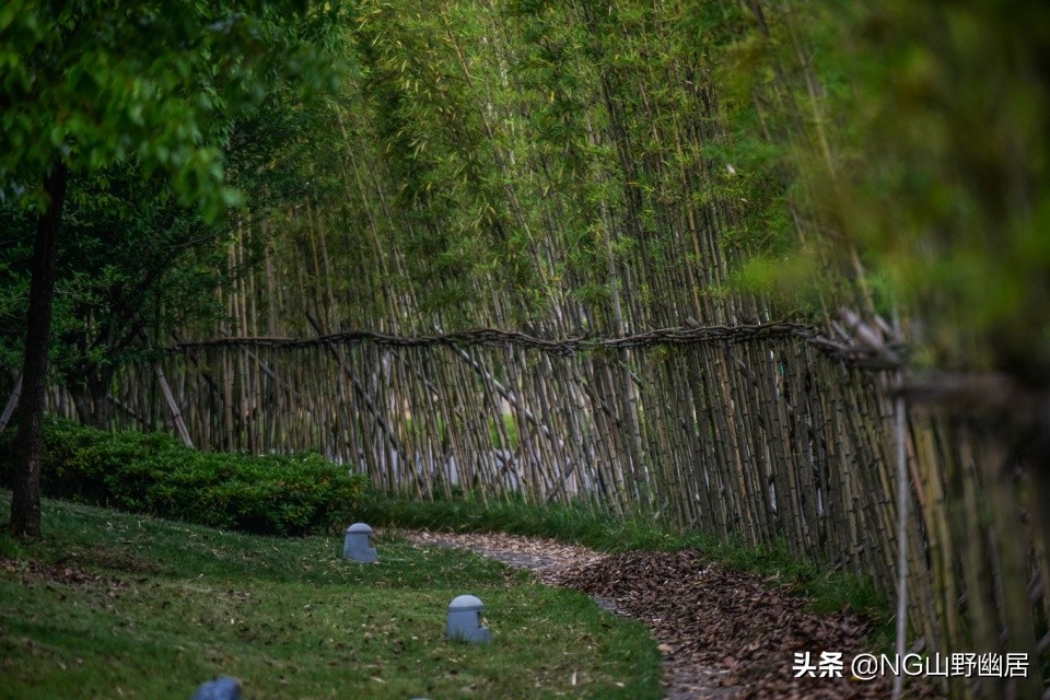 浙江湖州风景区有哪些,安吉县莫干山风景区