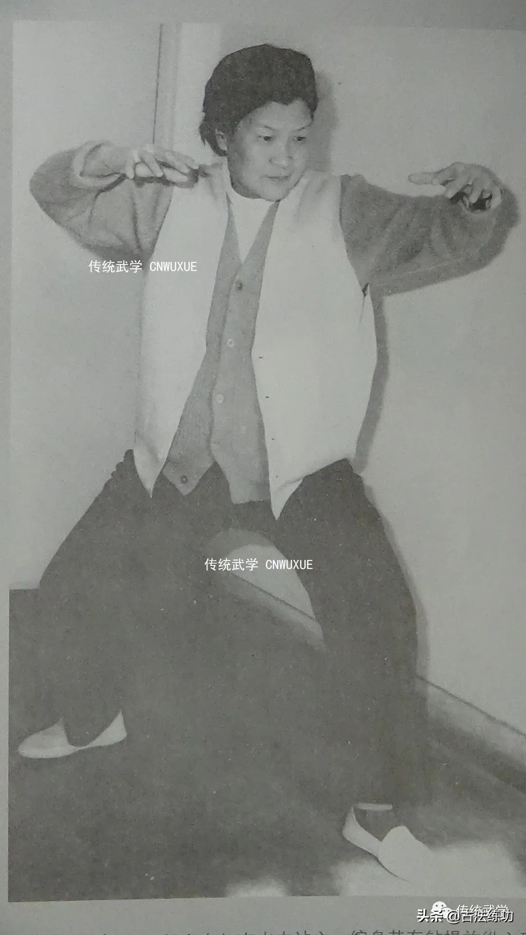 大成拳神龟出水有用吗,大成拳神龟出水视频