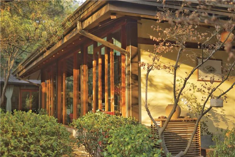 来云南一起看风景吧,来云南一起过年吧