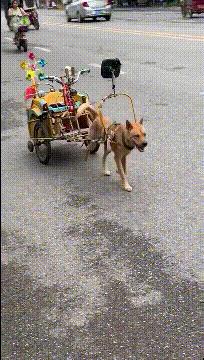 喜欢很久的小哥哥,喜欢了很久的小哥哥