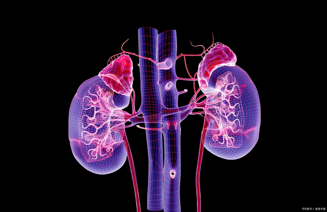 男性肾透支怎么调理,肾严重透支的5个信号你占几个