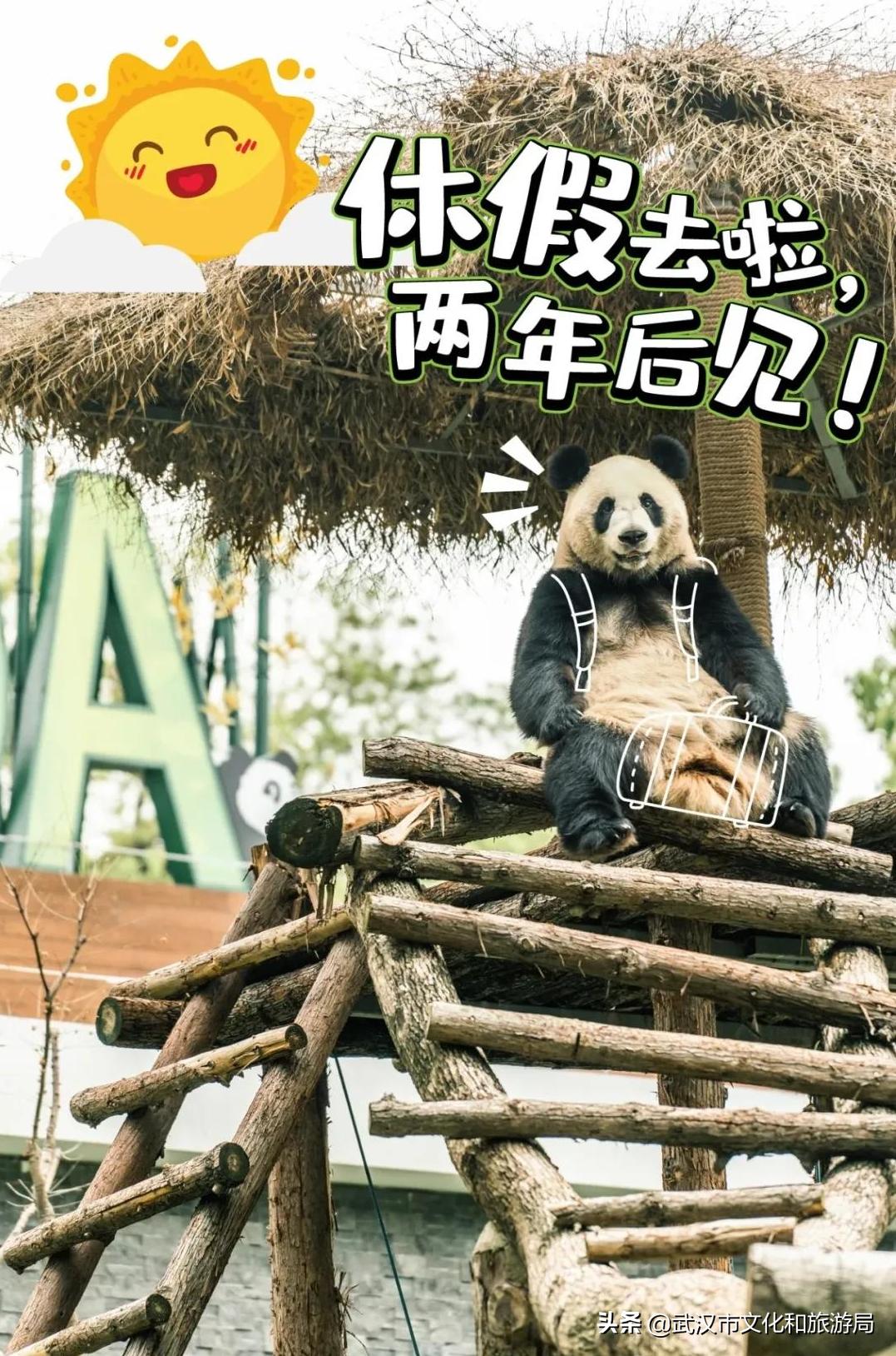 武汉动物园改造升级工程,武汉动物园升级最新消息