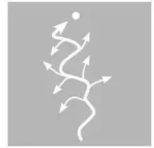 庭院小径设计方案,4招教你打造有档次的庭院