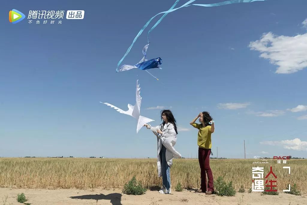 人生一串精彩合集,被点亮的星球纪录片