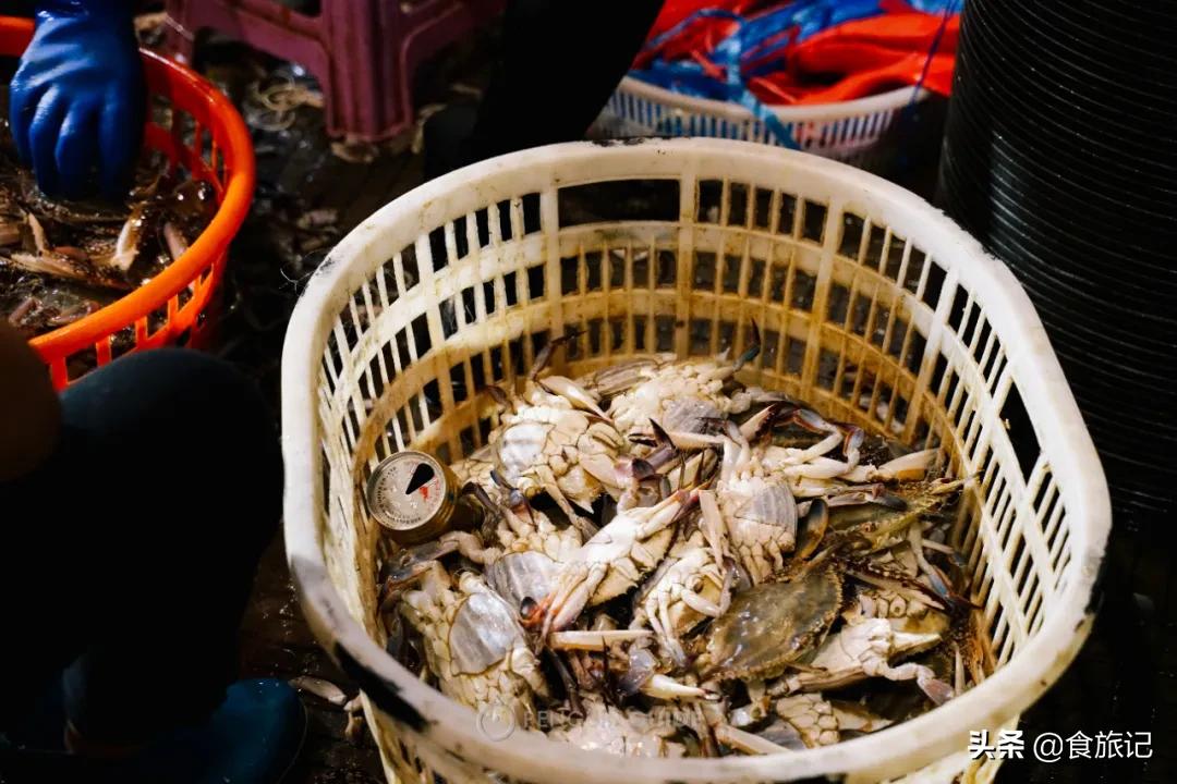 广州最大的海鲜水产批发市场,南京最大的水产批发市场在哪里