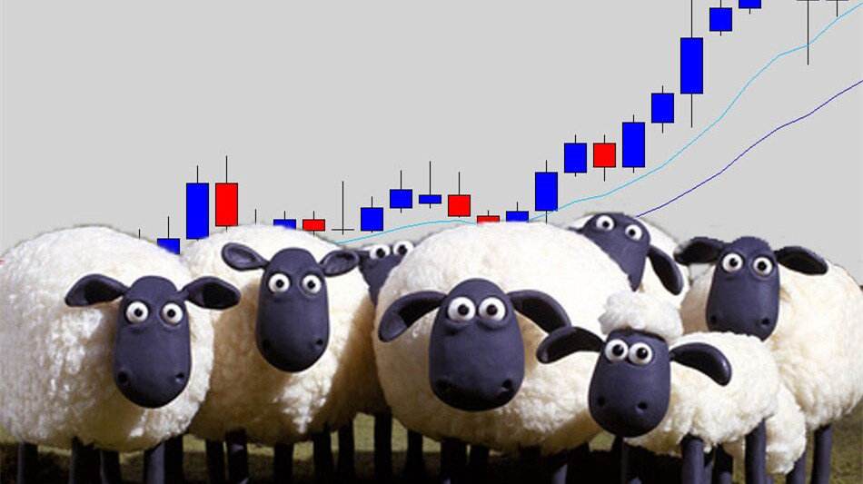 牛市是散户的绞肉机,散户绞肉机什么时候出现