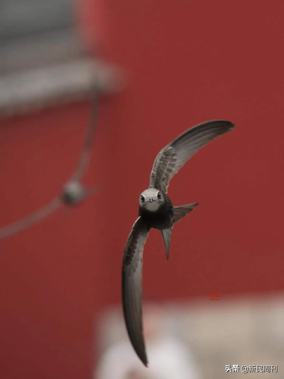 寻物|王家卫电影里的恋物癖