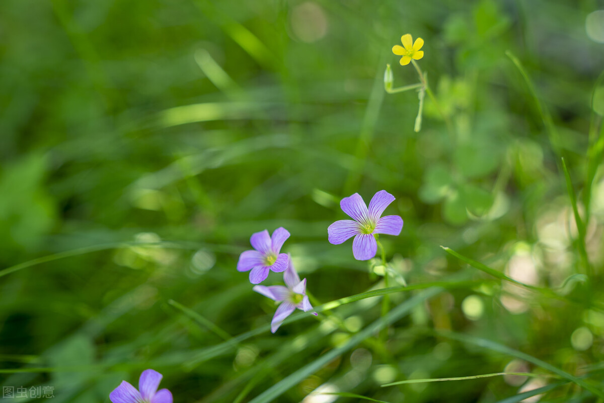 自在哲学,自在人生哲学