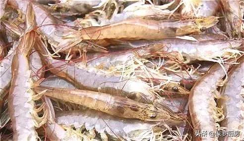 海鲜大荟萃,常见贝壳类海鲜