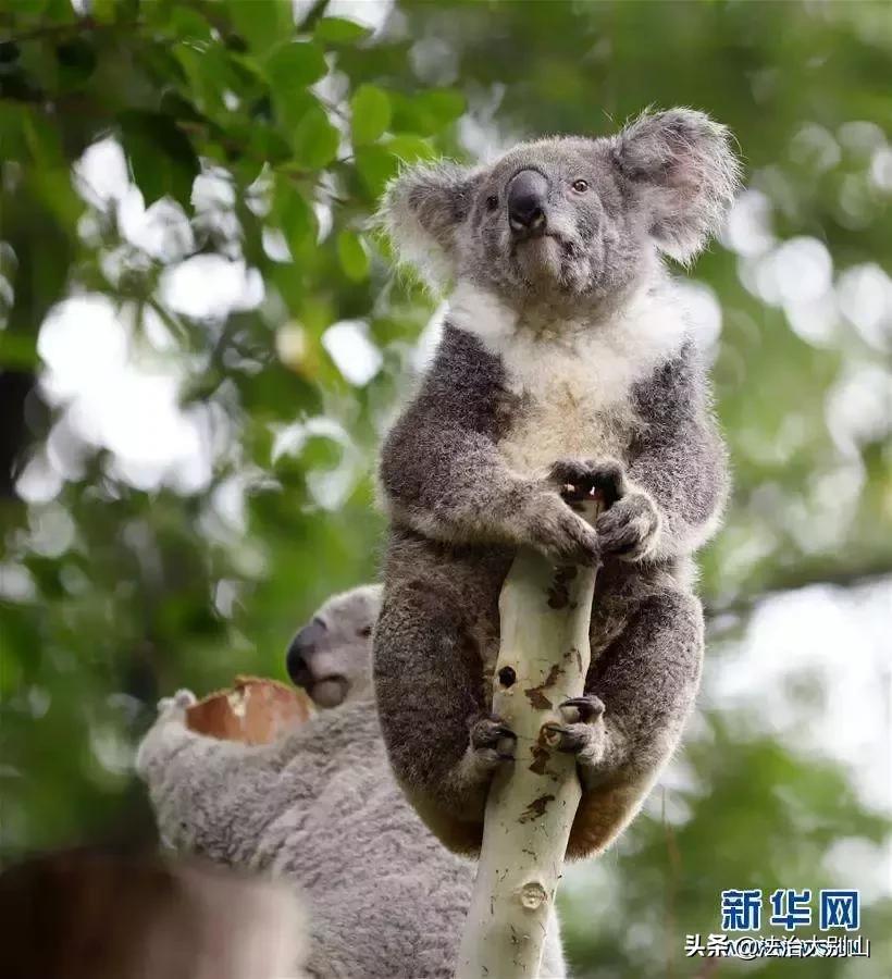 颠覆你认知的16个买房冷知识,广西十大颠覆你认知的冷知识