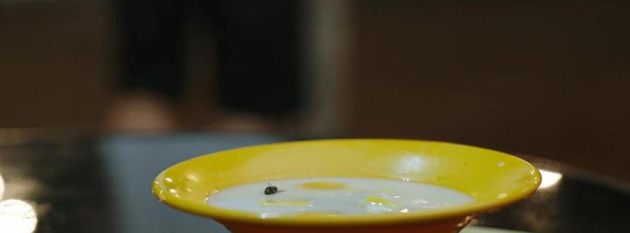 原神那些让你后背发凉的细节,原神最让人脊背发凉的隐藏任务