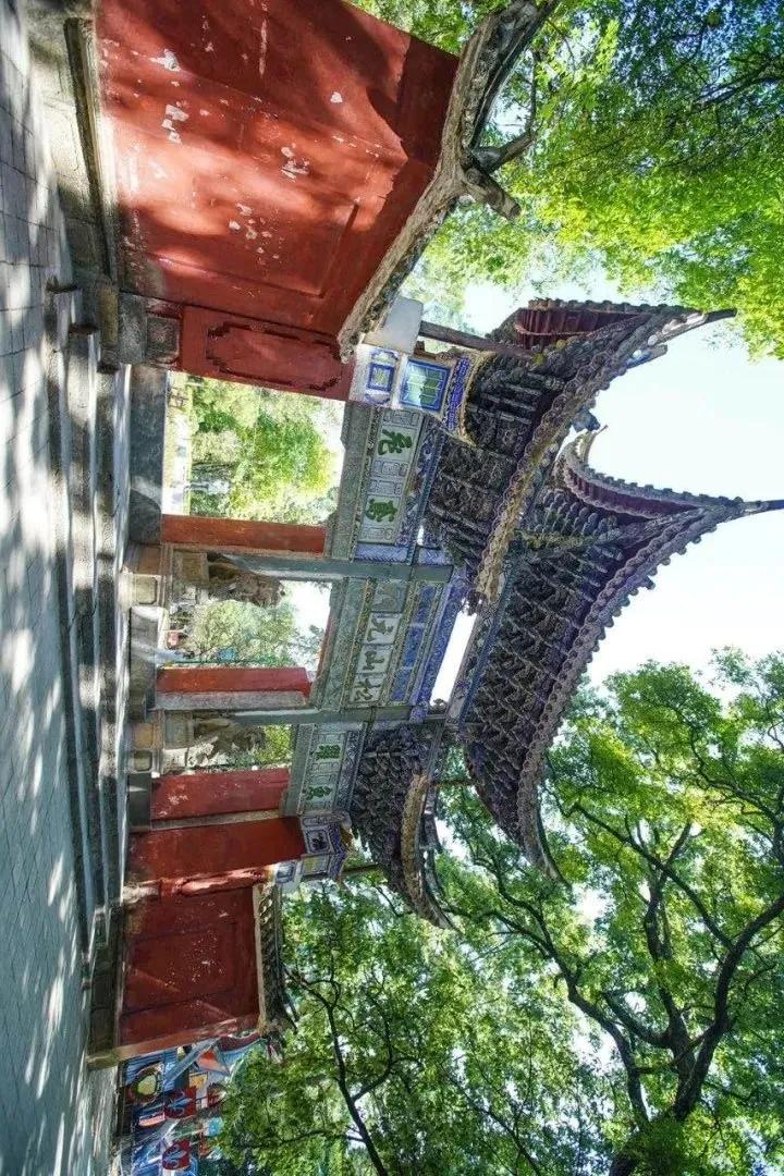 这是一个充满生机的公园怎么说,这是一个充满生机的国度朗诵