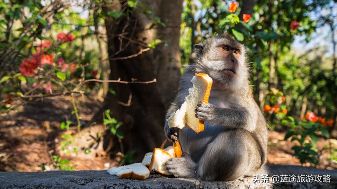 巴厘岛闺蜜游,闺蜜巴厘岛spa
