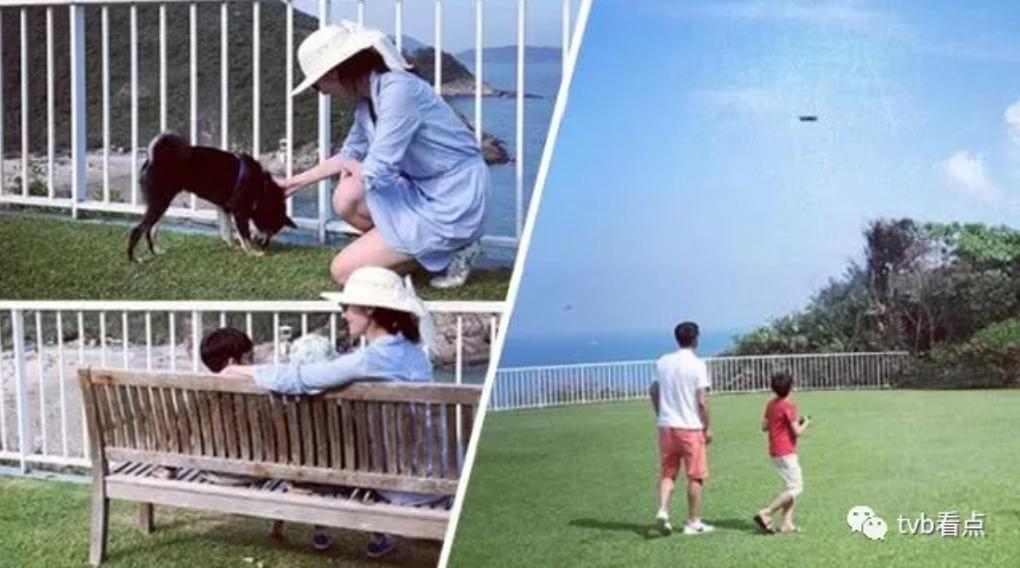 看完《喜宝》被气死，顶级富豪们最爱住的石澳道究竟是啥样？