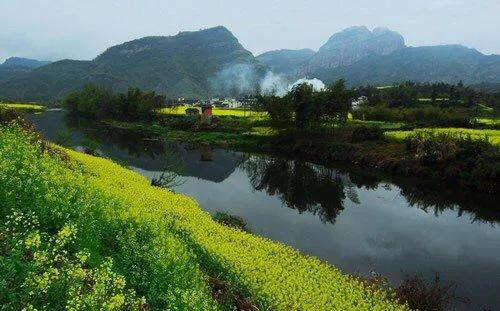 赏油菜花攻略,寻找最美油菜花可去这十大景点