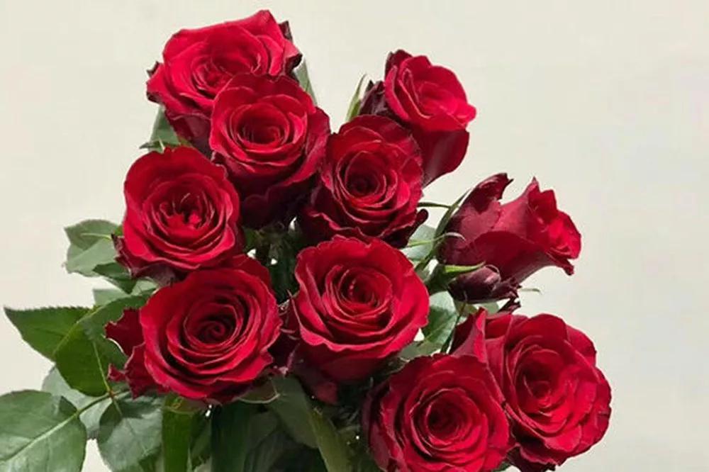 花店必备的5款玫瑰,花店常用的10款玫瑰花是哪些品种