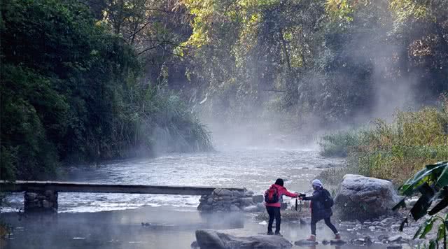广东省内森林旅游景点,广东森林公园排行榜