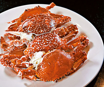 泰国象岛附近的岛,象岛泰国