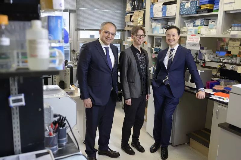 液体活检检测到的很多突变或不来自癌细胞，而是血液中的白细胞