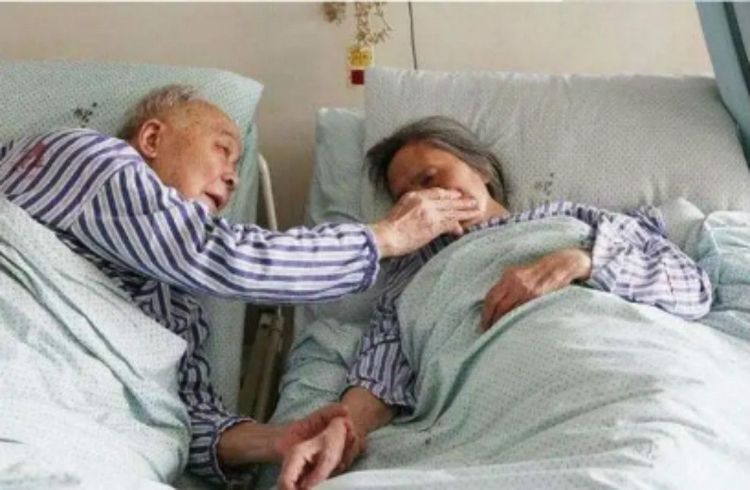 不婚族与丁克族的区别,不婚族和丁克族的想法是什么