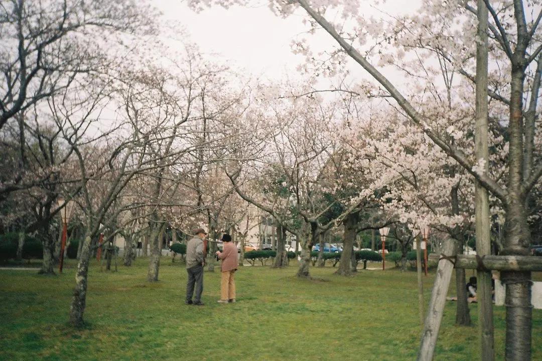 blackpink同款胶卷相机,blackpink同款胶片机