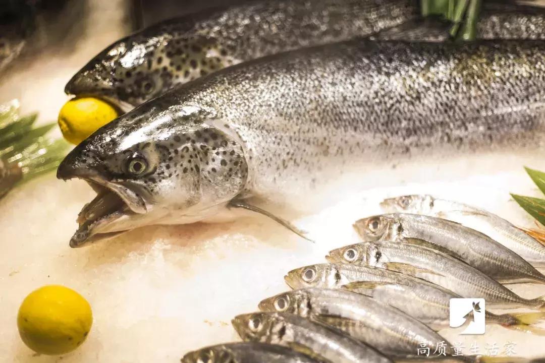 这些食物帮你解决健康难题,这些食物竟然是天然止痛药