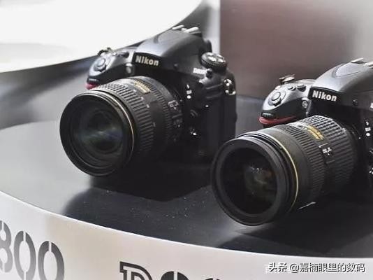 尼康相机有没有便宜一点的推荐,尼康最值得入手的入门相机