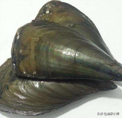 连云港地方特产有哪些,连云港地方特产市场