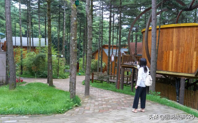 洛阳白云山山顶小木屋价格,洛阳白云山森林小木屋