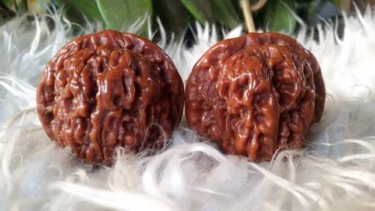 玩核桃必须玩哪一个,玩核桃优先看什么