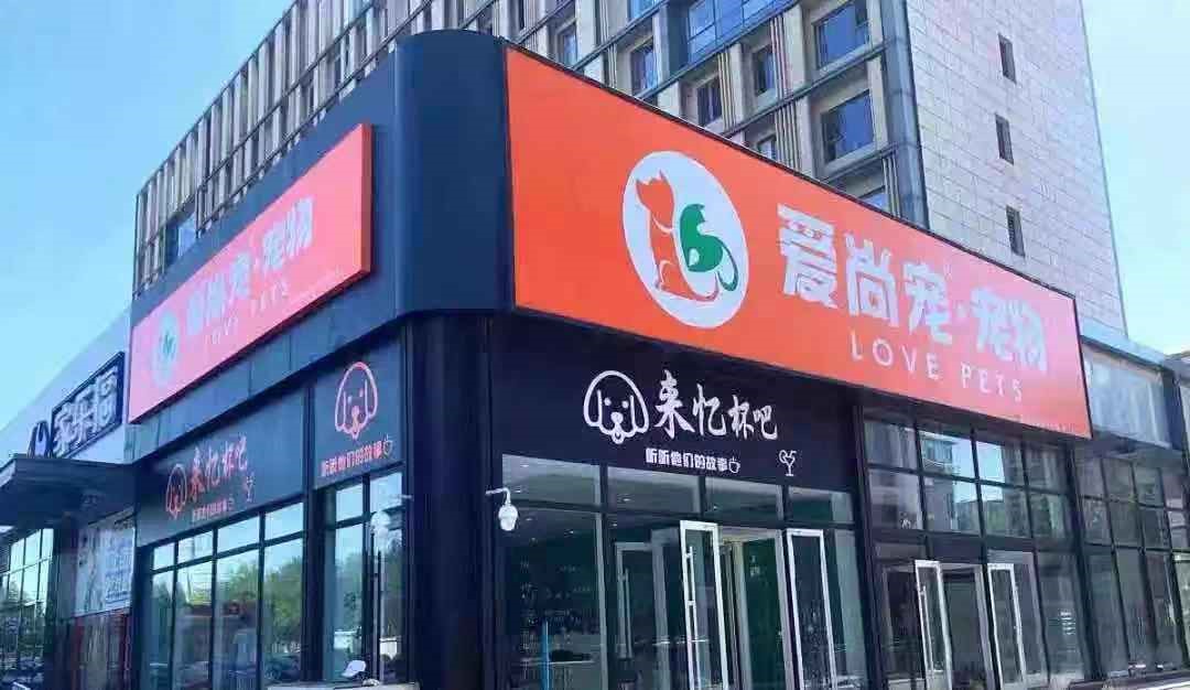 宠物加盟店怎么开,宠物行业怎么开店赚钱