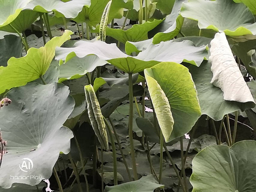 致永远回不去的童年六一儿童节,六一特辑致我们终将逝去的童年