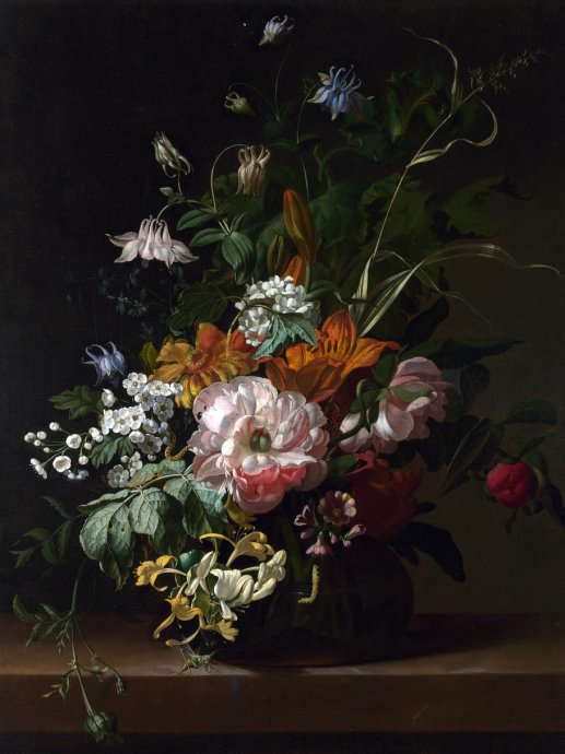 二十张惊艳的鲜花图片美图欣赏,好看的鲜花绝美图片