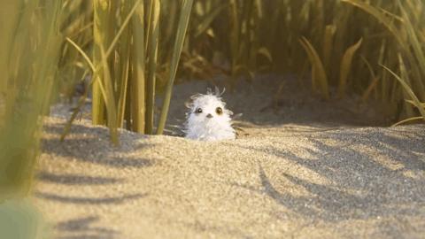 盘点8部奥斯卡动画短片,救命60秒电影