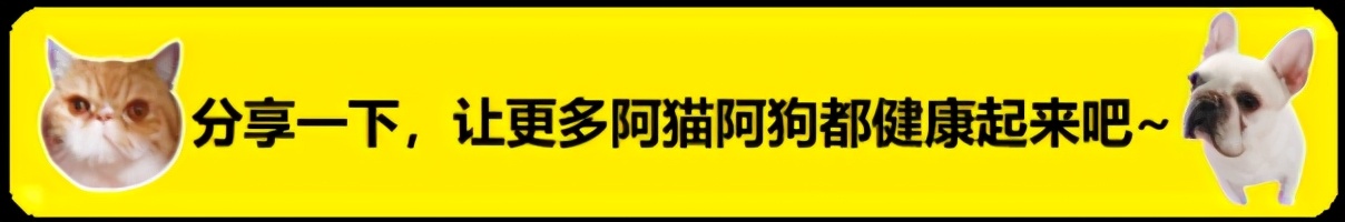 如何在家给狗狗测血糖,如何在家给狗狗接生