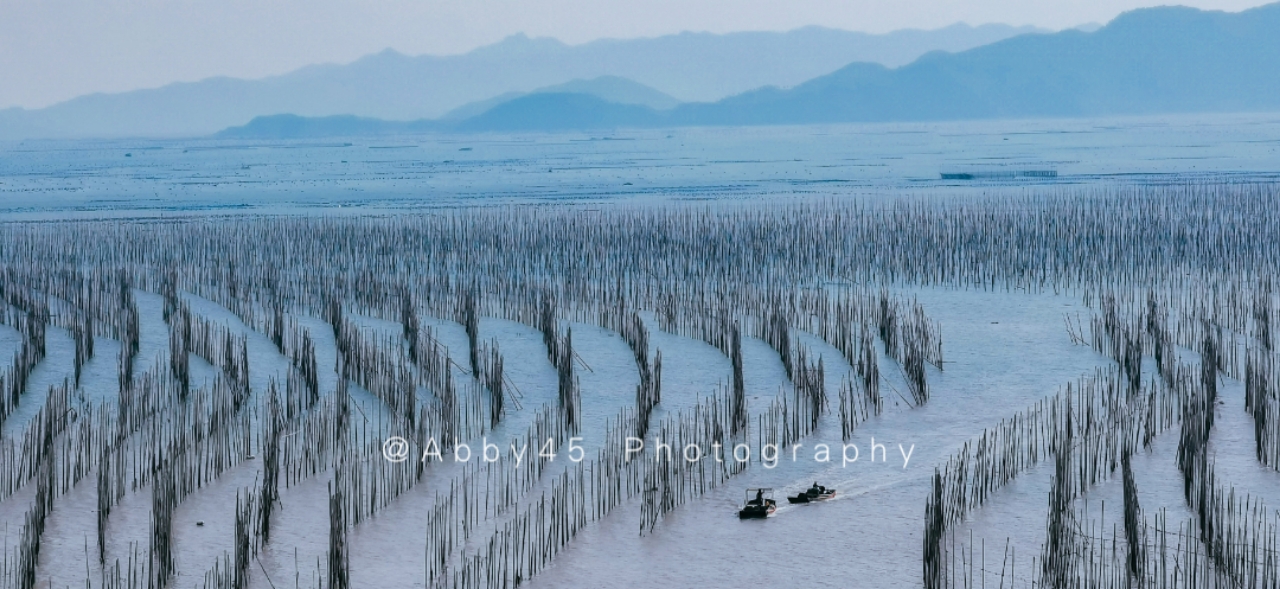 如果只有一天去浙江哪里玩,如果只有一天时间去哪玩
