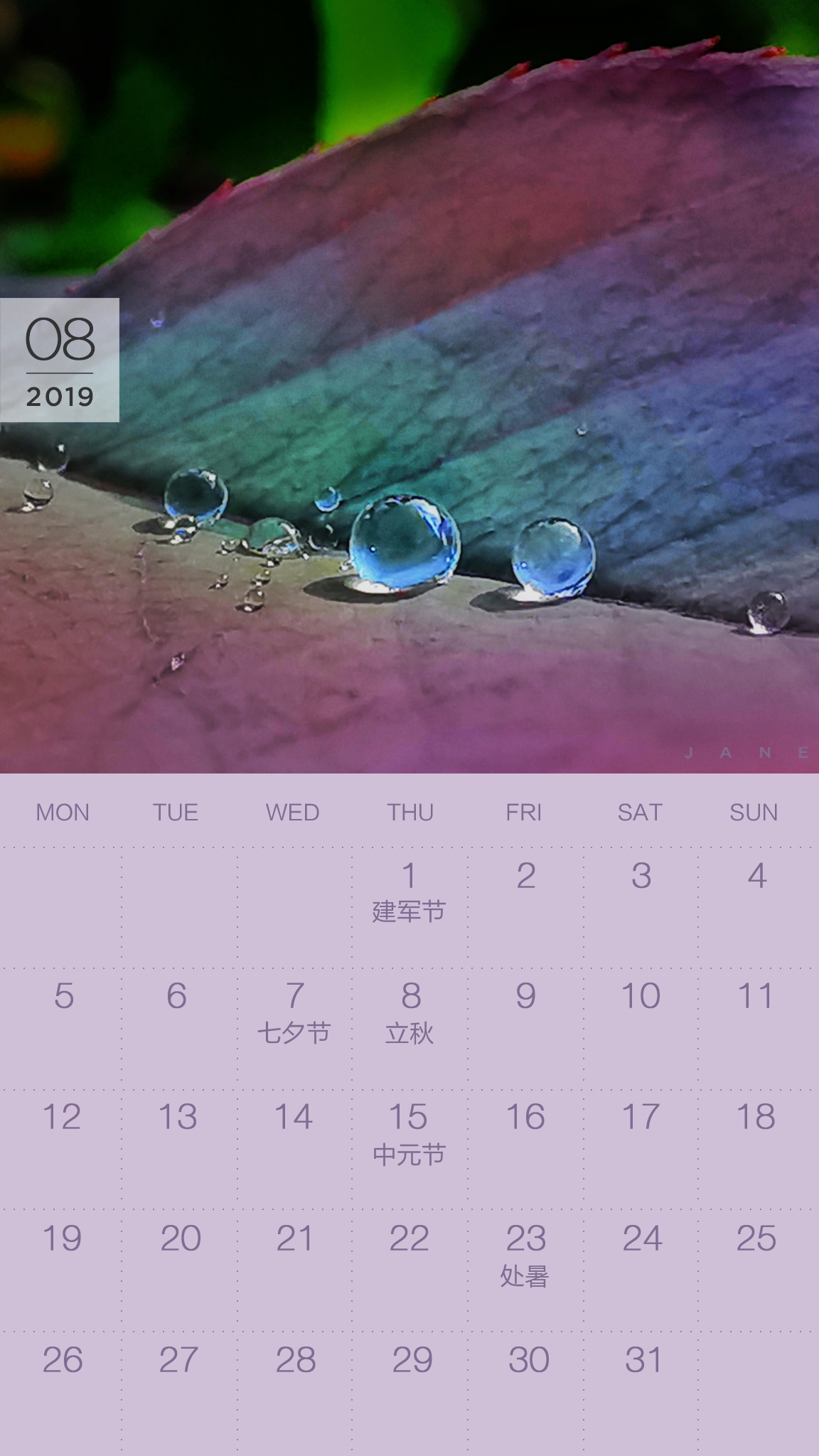 送你一张凉快动态壁纸,大暑送你清凉壁纸