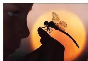 糖尿病有种叫“应激性”，原来血糖也跟心情走