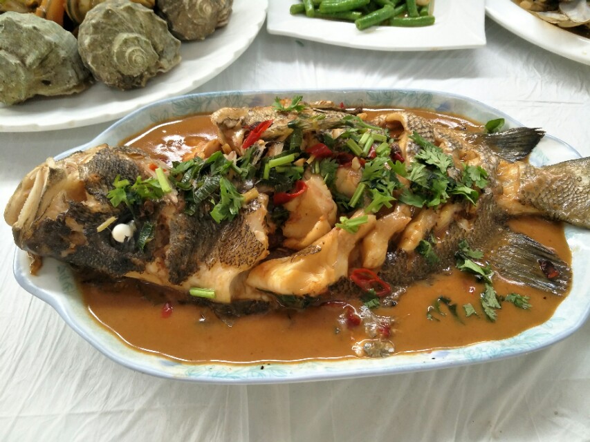 日照第三海水浴场离吴家台远吗,日照吴家台有免费的海水浴场吗