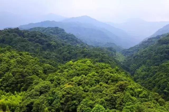 惠州龙门景区,中国天然氧吧惠州龙门